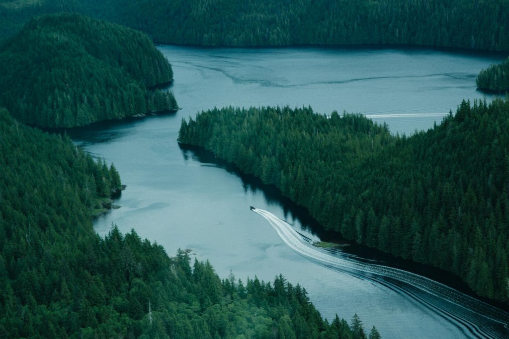 Great Bear Rainforest 