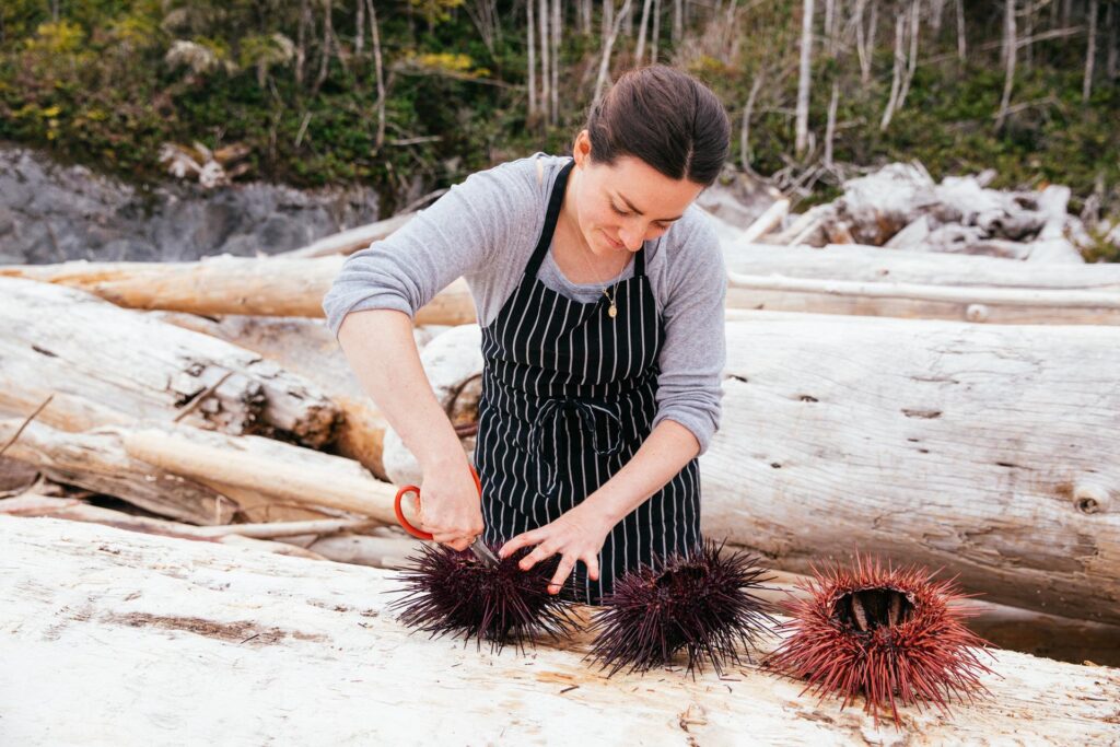 Sea Urchins - Wild Harvesting