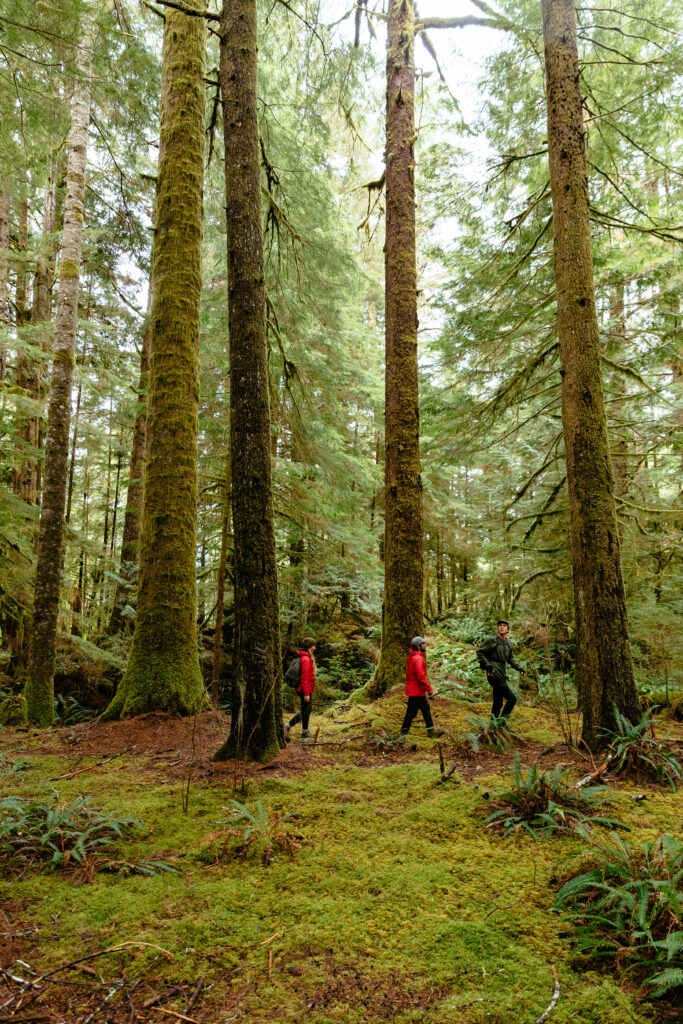 couple exploring the Great Bear Rainforest