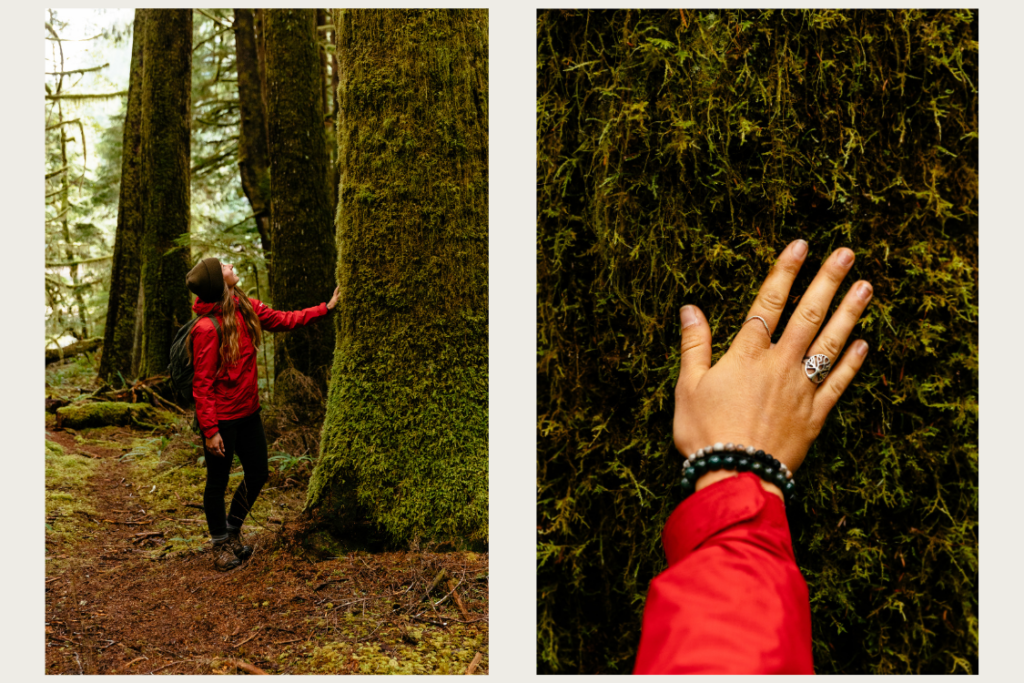 walking in nature, hand touching moss