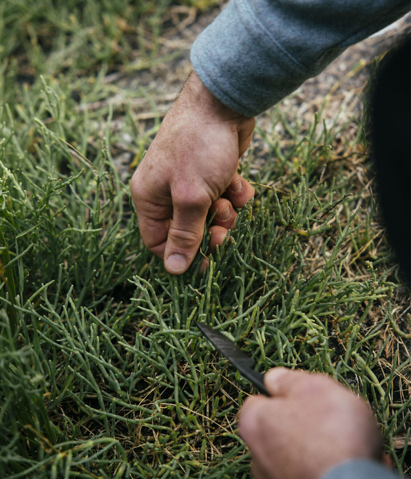 Ending the Kitchen Hierarchy Nimmo Bay