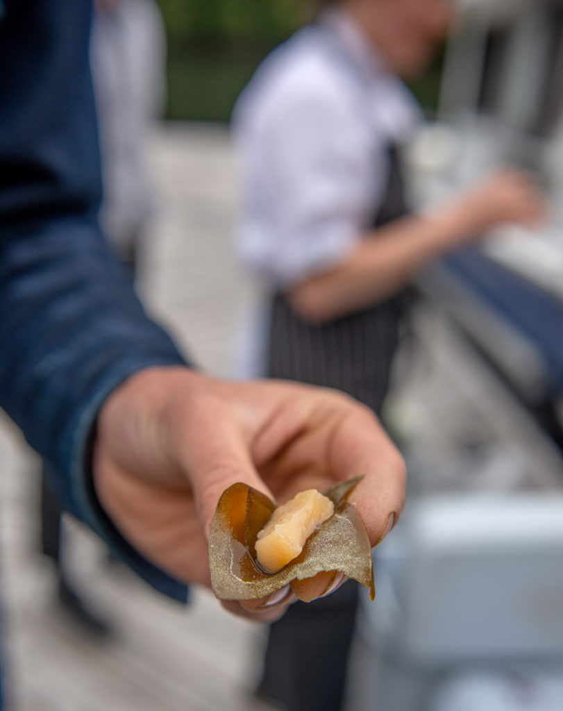 Wild Food Forager: Alexander McNaughton