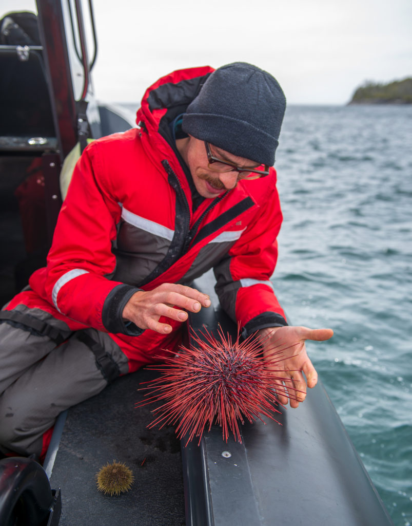 Wild Food Forager: Alexander McNaughton