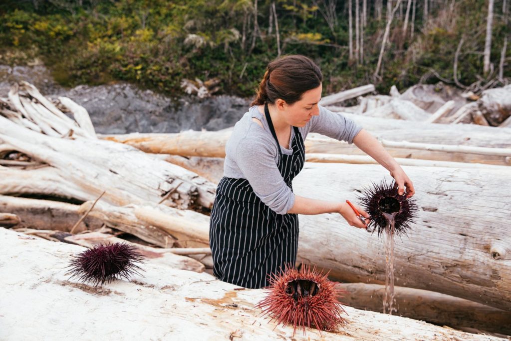 Sea Urchin